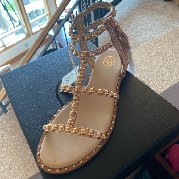 ash gladiator sandals